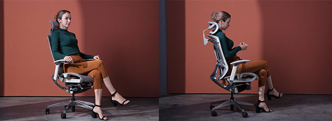 Le post-marché réglable ergonomique moyen de pivot de soutien lombaire de chaise de Dvary préside 4