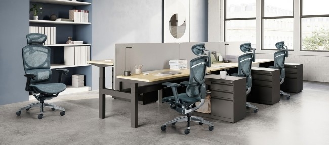 Le bureau ergonomique de pivot du GT ISEE Mesh Chair Home Office Use préside 0